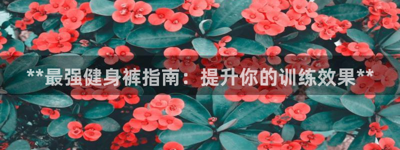 龙8国际游戏官方进入的介绍