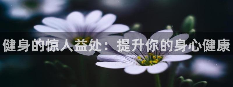 龙8国际官方网址