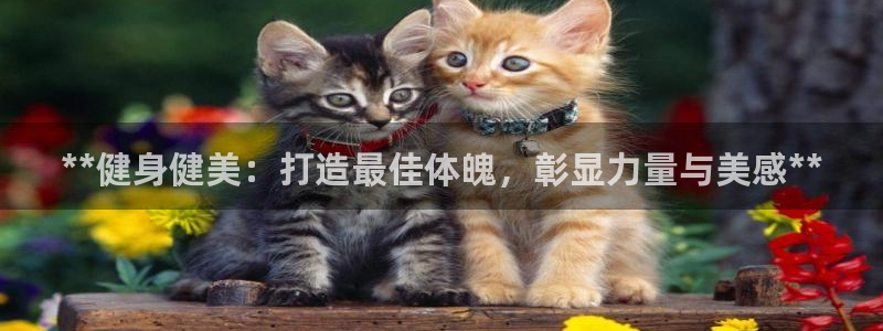 龙8国际官方网
