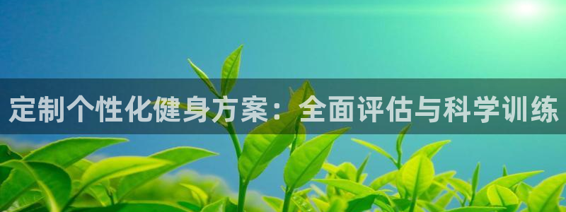 龙8官网游戏