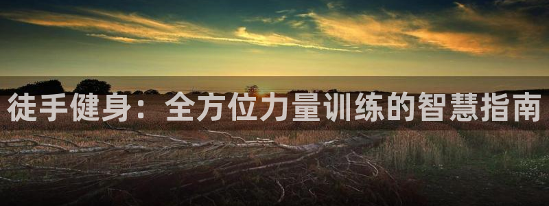 龙8官网游戏