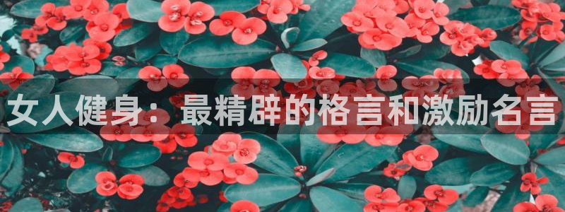 龙8国际总代理