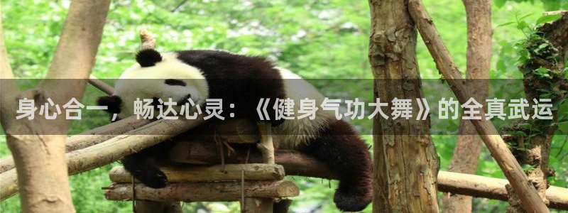 龙8国际唯一官网官方版
