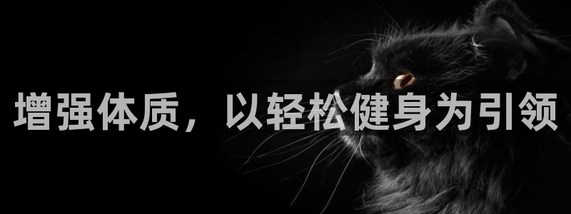 龙8国际官方网站手机版