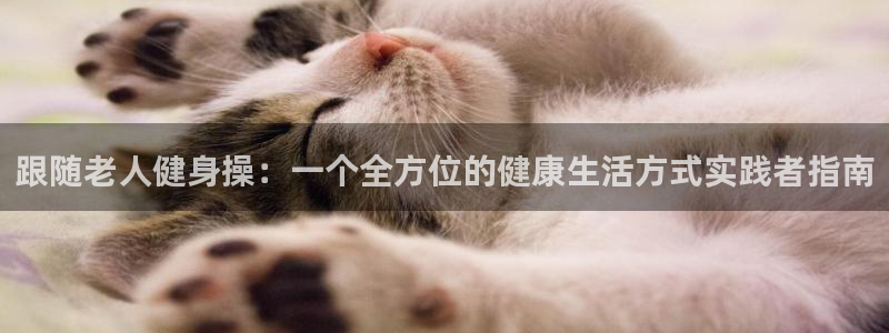 国际龙8官方网站