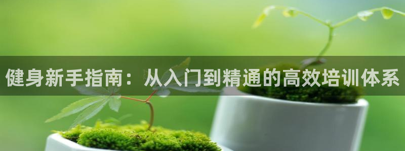 龙8国际官网唯一入口