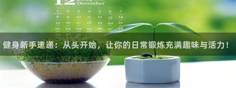 下载龙八国际