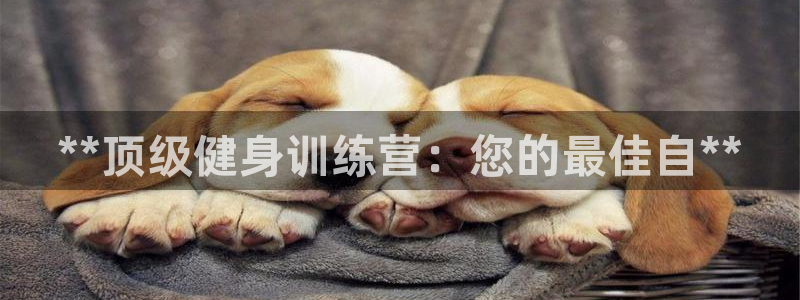 龙8唯一官网