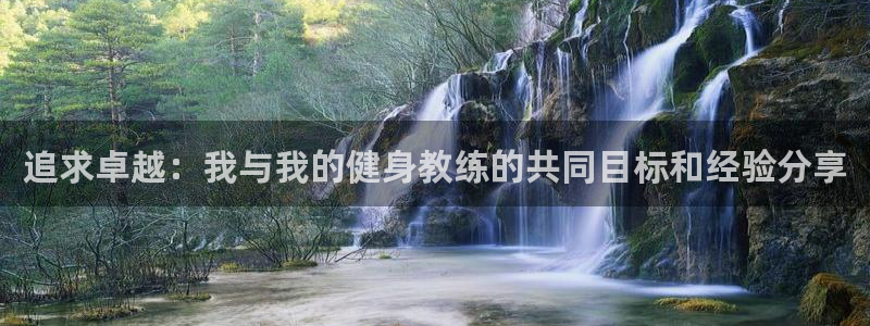 国际龙8hk
