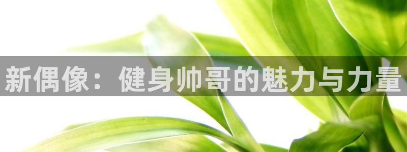 龙8国际long123