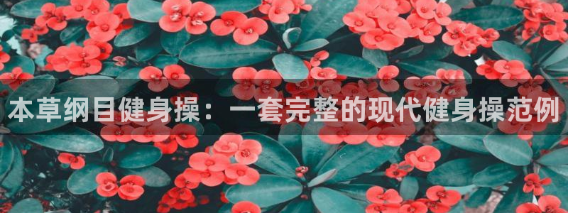 龙8国际网站怎么样