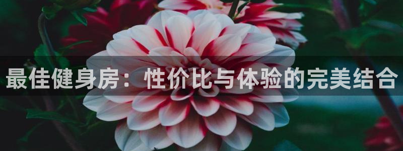 下载龙八国际