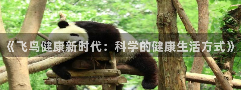 龙8国际提现被黑