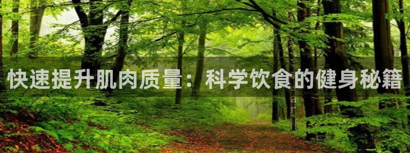 国际龙8hk
