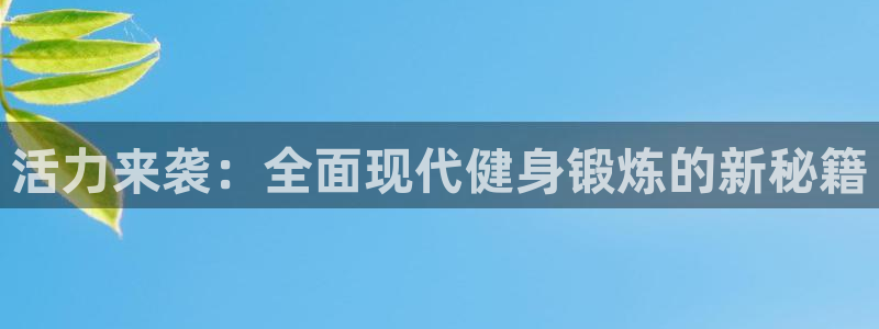 国际龙8hk