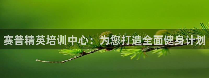 龙8国际网址是什么