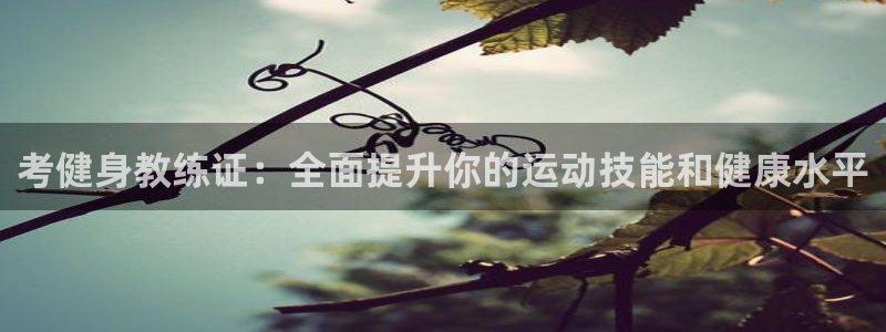 龙8国际老虎机娱乐