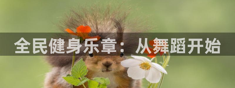 龙八国际娱乐官方网站