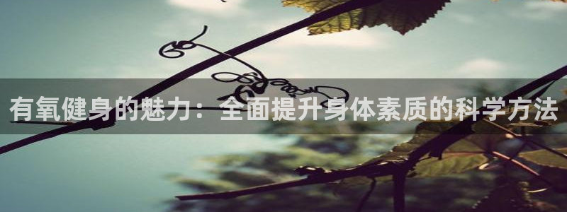 龙8国际真钱