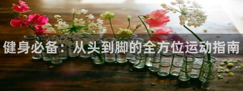 龙8国际手机版官网下载