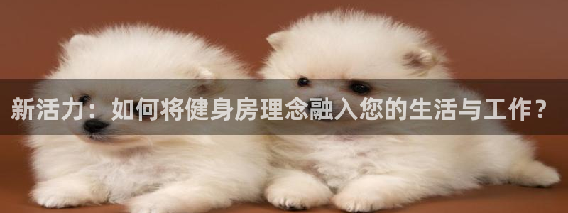 龙8国际-我的