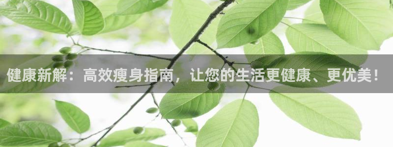 龙8国际欢迎您