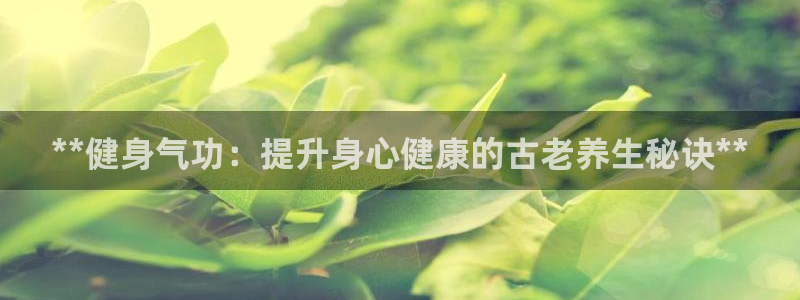 龙八国际2018最新官网