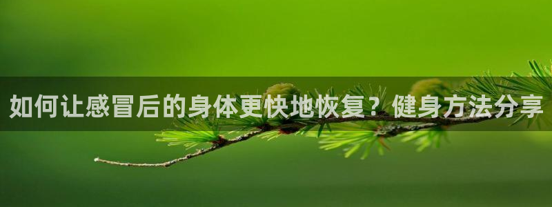 国际龙8hk