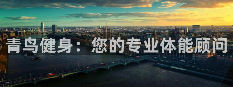 龙8国际安卓版版
