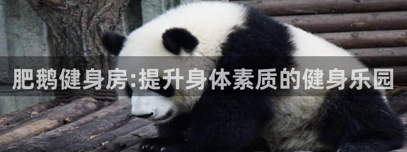 龙8国际安卓版