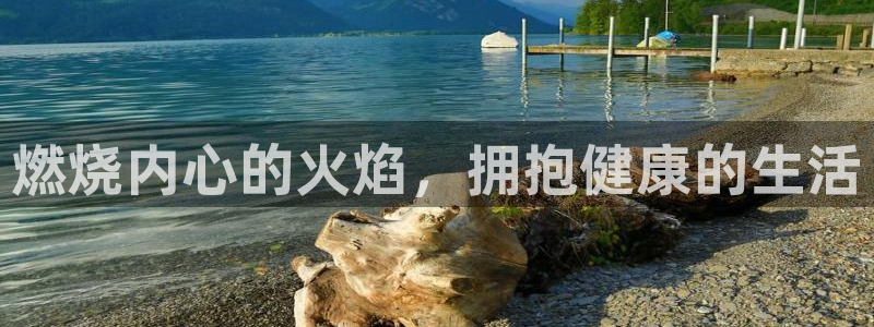龙8国际头号玩家