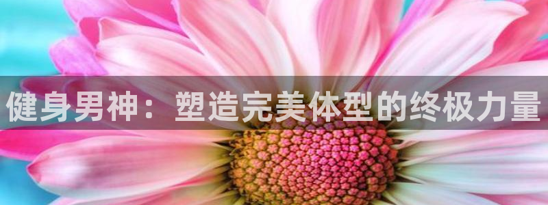 龙8国际登陆