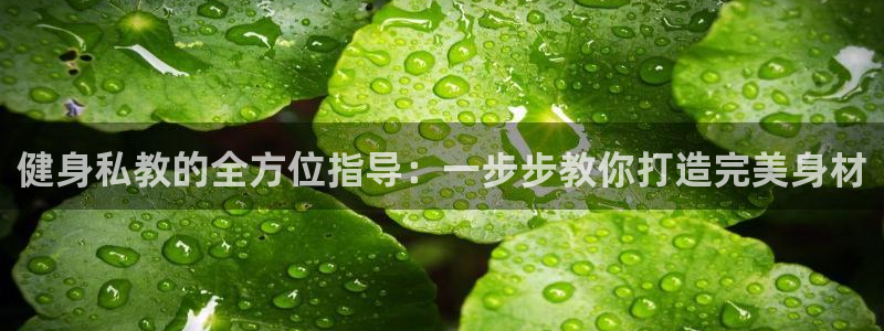 龙8游戏入口