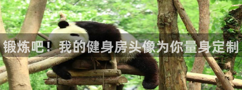 龙8国际平台官网