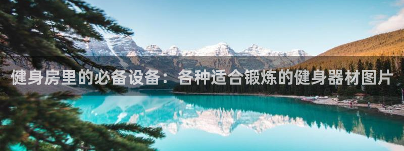 国际龙8官网pt客户端