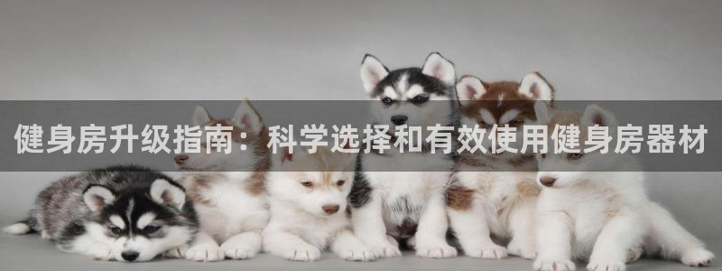 龙8国际中国官方网站