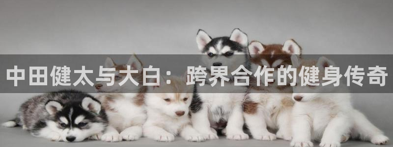 龙8国际官网