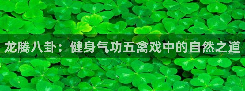 龙8国际app下载官网手机版最新版