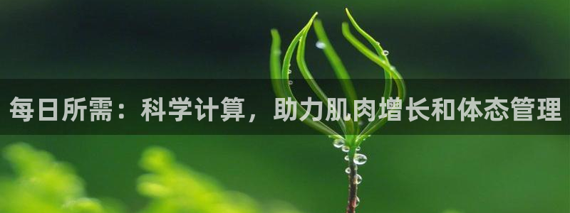 龙8国际游戏娱乐