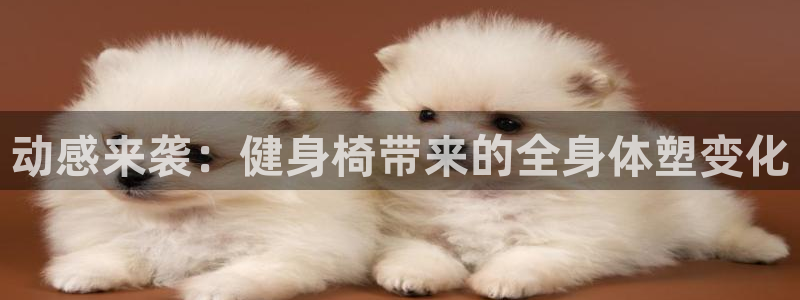 龙8国际的官网