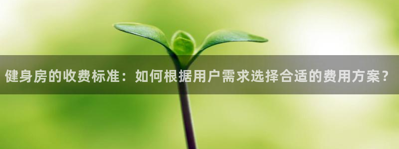 龙8国际官网版玩法