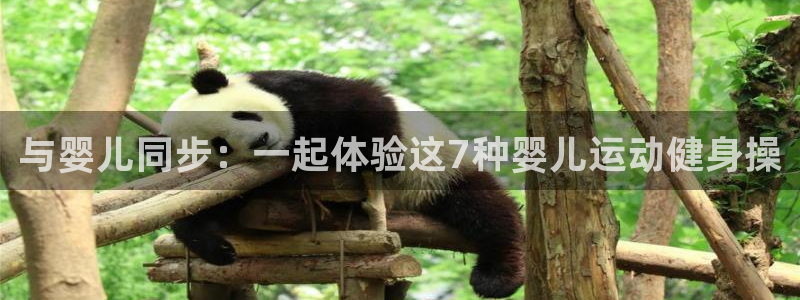 龙8国际官方网站