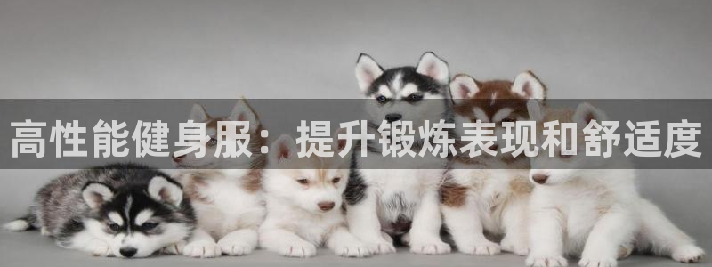 龙8电子游艺网址多少
