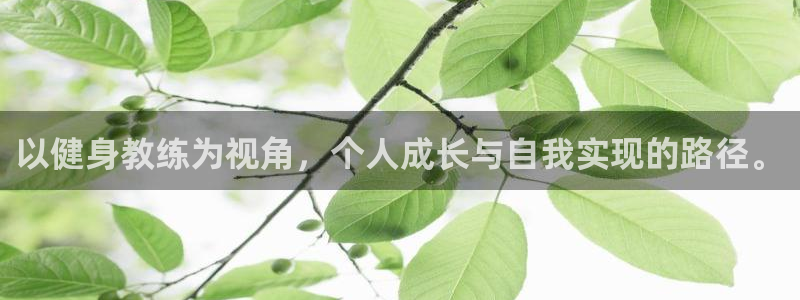 龙8国际手机游戏官网版