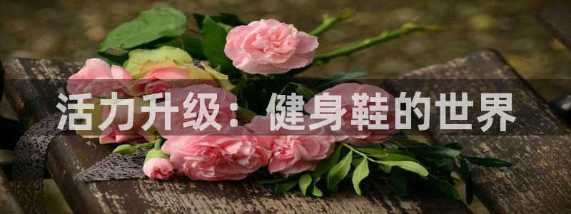 龙8国际手机游戏官网