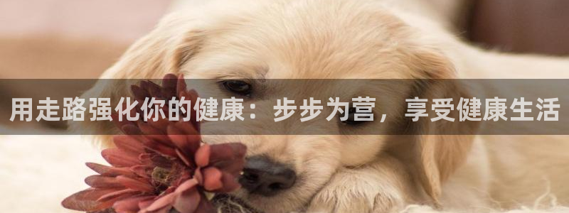 龙8老虎机网络游戏