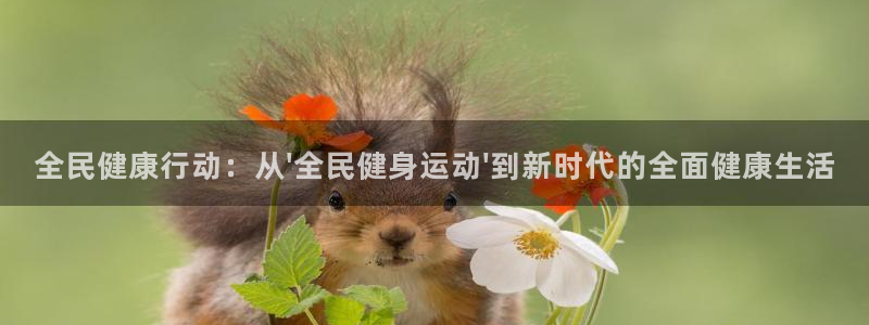 龙8国际平台输了多少