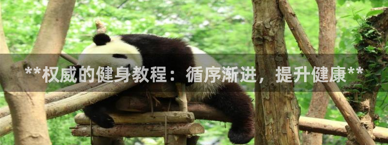 下载龙八国际官网