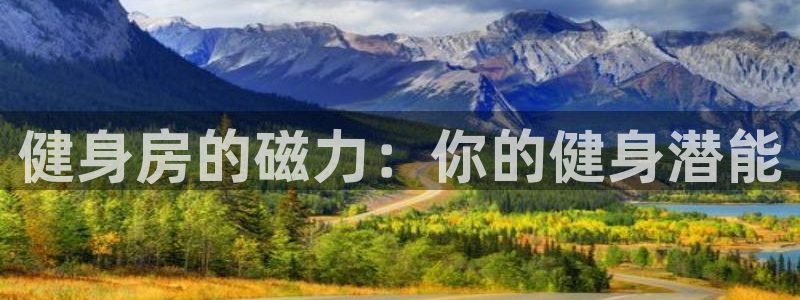 龙八国际娱乐官网app