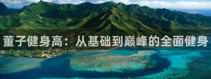 龙8国际老虎机官网